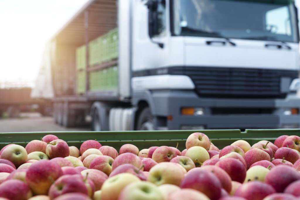 Apples container ready for shipping.