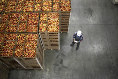 The Essentials of Organic Food Distribution