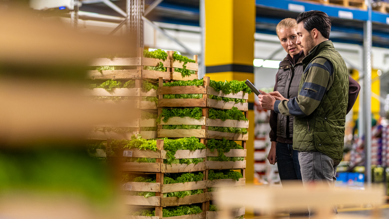 Warehouse workers discussing sustainability practices, optimizing transportation for freshness, or improving the speed of deliveries in the context of perishable goods emphasizing the importance of evaluating processes for sustainability and speed.