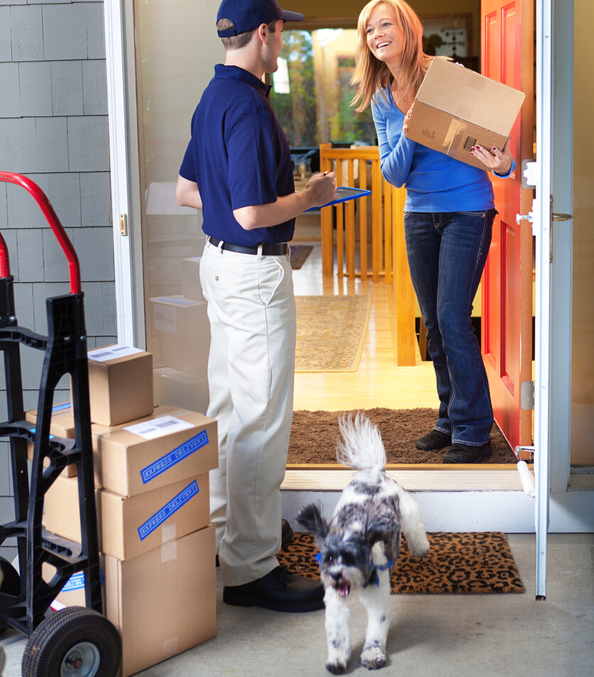 A delivery man delivering a pet products in boxes to a woman’s home. A small family pet dog stands guard, greeting the messenger.
